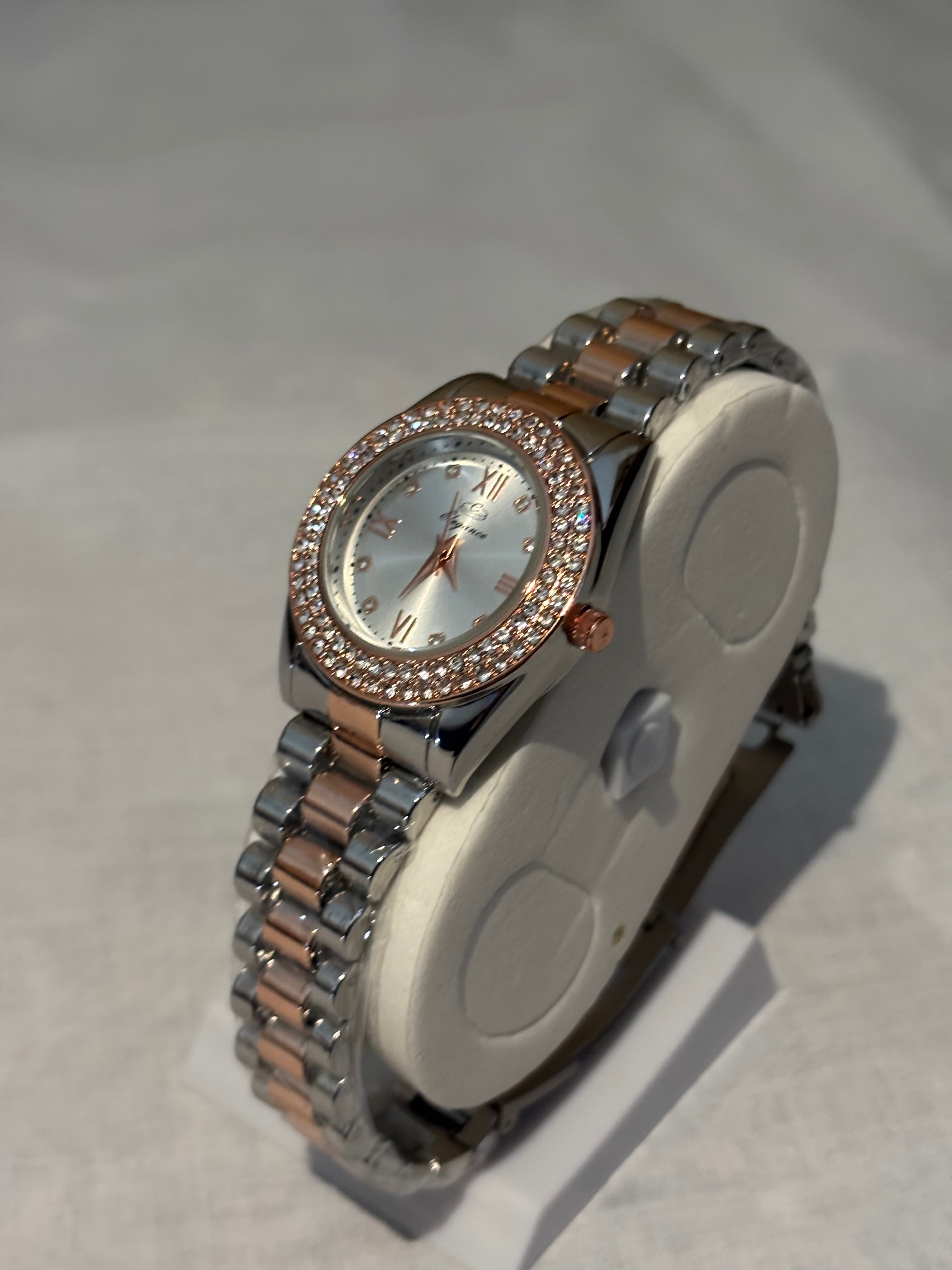 Elegance watch with silver Dial